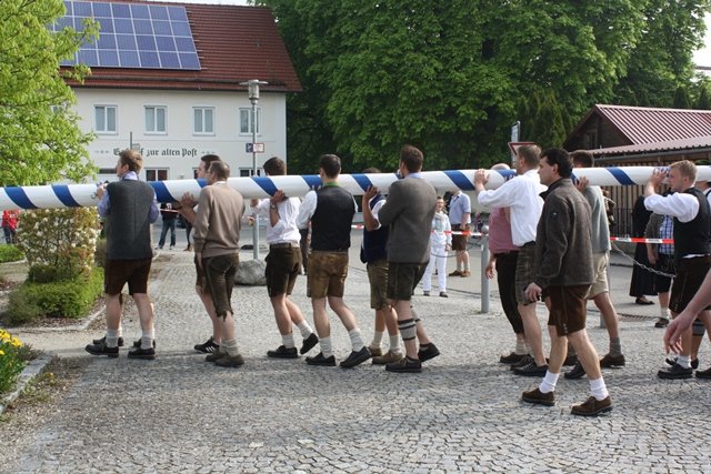 Maibaum 2013